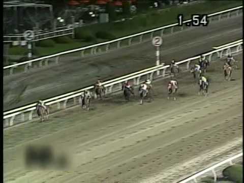 カネヒキリ 2005 ジャパンダートダービー　JAPAN DIRT DERBY