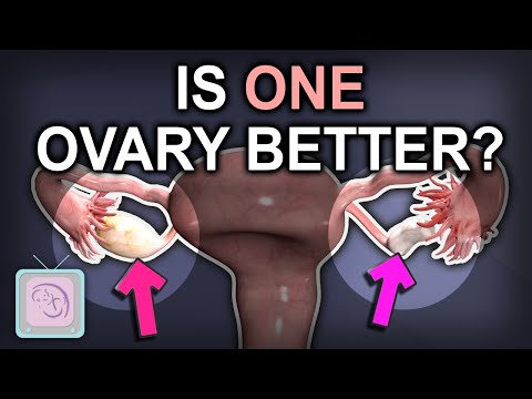Which ovary is better for becoming pregnant?