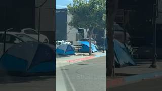 San Diego Street Tours