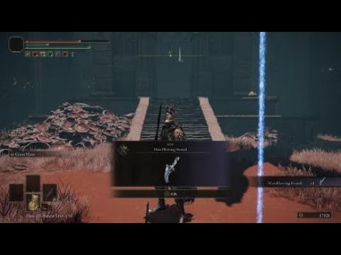 ELDEN RING™ - VS Nox Swordstress & Nox Priest ( 1st Try, Blind Run )