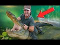 4 Days In Florida Hunting Giant Gators Pythons Iguanas