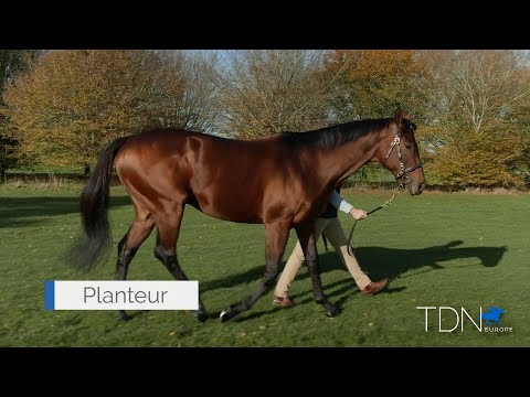 Chapel Stud A Labour Of Love For Close