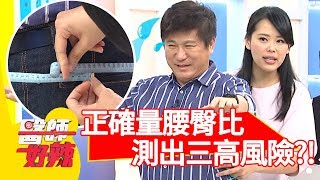 [問卦] 腰臀比多少才好看？