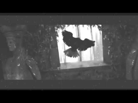 Pajo & Bara & Sim - Qalaqebidan / ქალაქებიდან (2016)