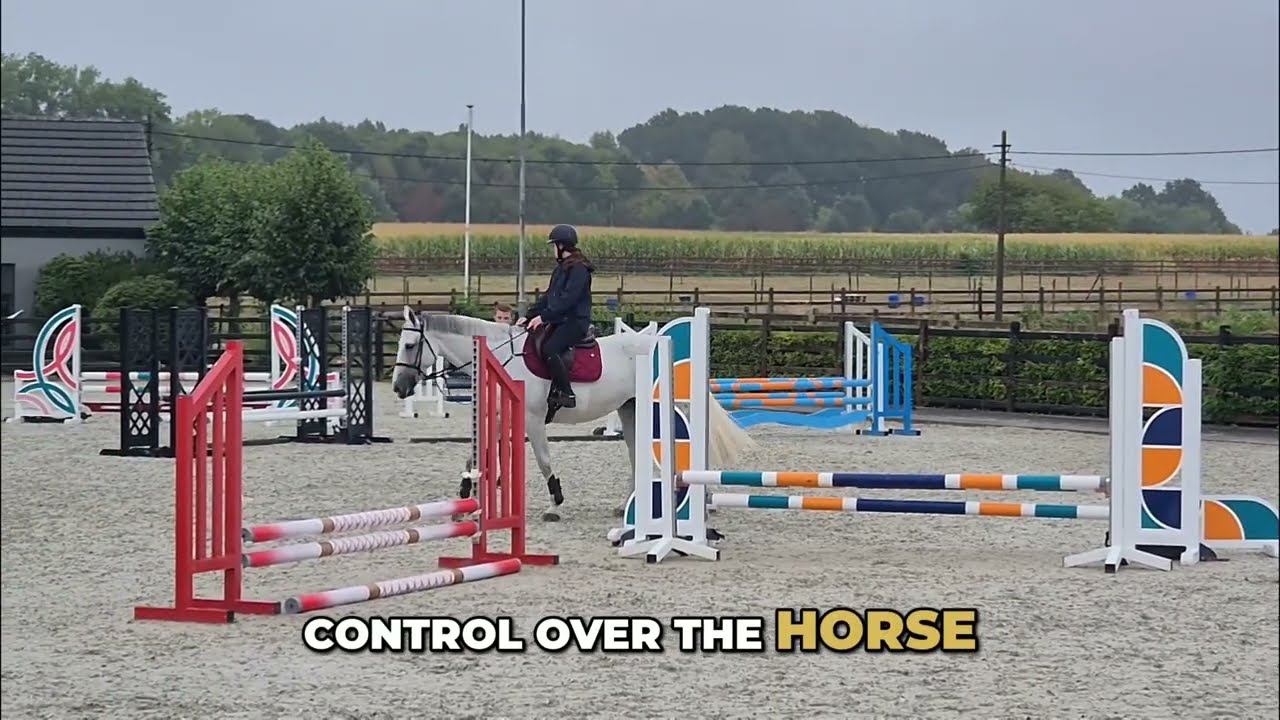 Stop Getting Lost in the Show Ring