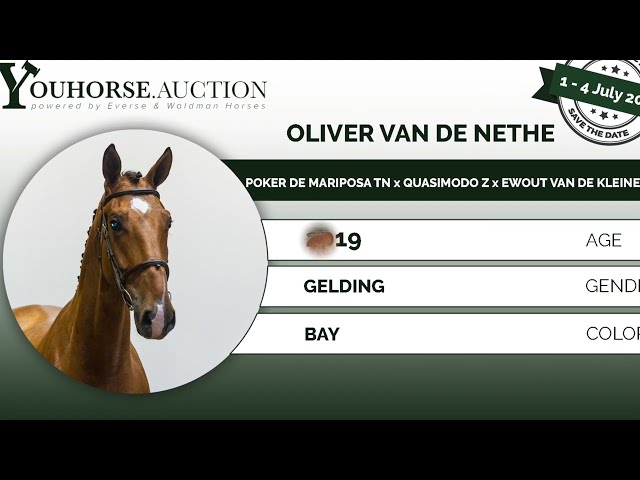 Oliver van de Nethe