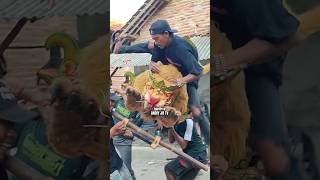 Download lagu DETIK-DETIK TERJ4TUH DARI SINGA DEPOK #shortviral #jatuh #singadepok #fypシ mp3