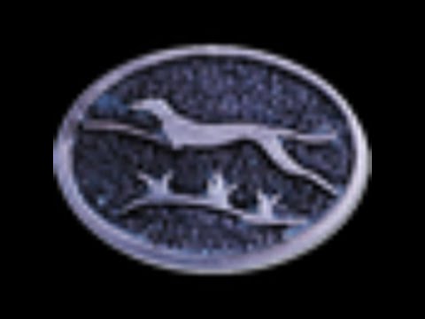 приглашение в [WHUND] Panzer-Division "WINDHUND"