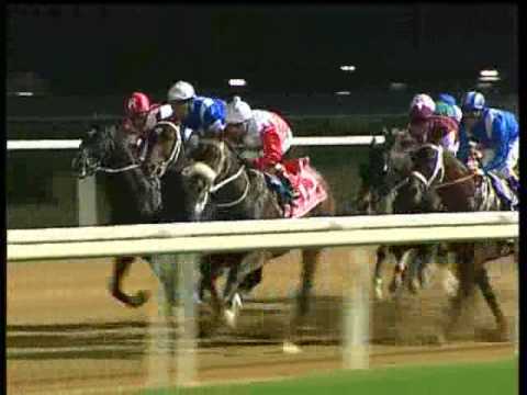 Roses In May (Devil His Due) - 2005 Dubai World Cup