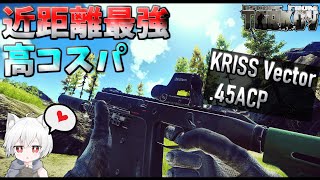 【タルコフ】近距離最強､高コスパ！超強い黒ベクターのカスタム紹介!!【EFT】