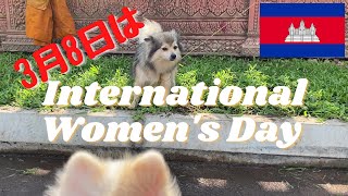 3月8日は国際女性の日!!!ということで、感謝したい女性がいない僕とシロはお散歩に出かけましたとさ、めでたしめでたしw International Women's Day