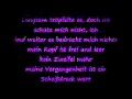 PANIK - LASS MICH FALLEN lyrics.wmv 