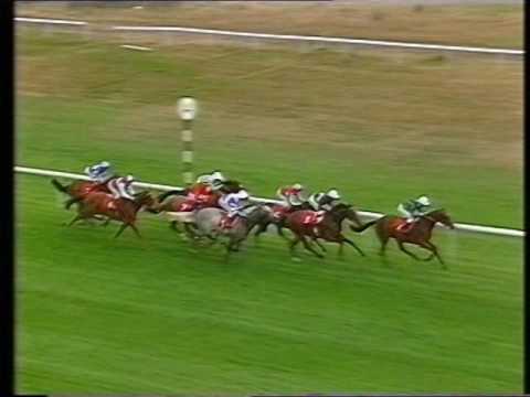 1991 Doncaster Cup