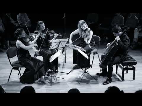 Mozart Quartet 'Prussian' in D Major K 575, performed live by the Albion Quartet