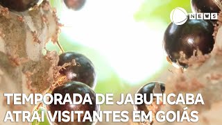 Miniatura do vídeo