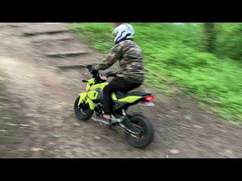 Honda msx 125 grom off-road
