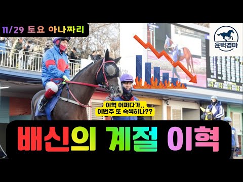 11/29 토요-윤택-경마 아나짜리 배신의 계절/인기마의 몰락은 우연이 아닙니다