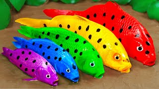 Download lagu Best Of Small Fish Recipe | MINIATURE Fish Cooking Made EASY with Simple Recipe mp3 Download lagu Best Of Small Fish Recipe | MINIATURE Fish Cooking Made EASY with Simple Recipe mp3