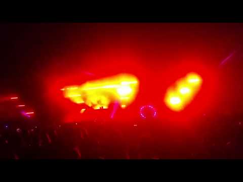 DOG BLOOD - HARD SUMMER 2017 Live