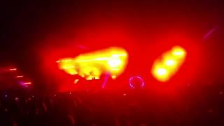 DOG BLOOD - HARD SUMMER 2017 Live