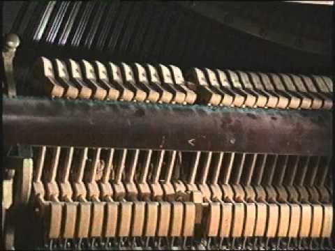 The Percussion Family