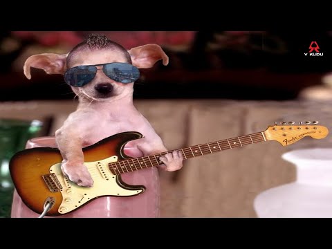 44 v klidu - 44 v klidu - Psí život (2020) official video