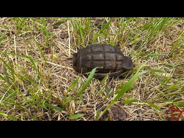 Житель села Каразай Куйтунского района обнаружил гранату на своём участке