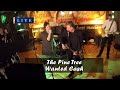 Wanted Cash - The Pine Tree - Johnny Cash Tribute Band @Rockabilly-Konzerte