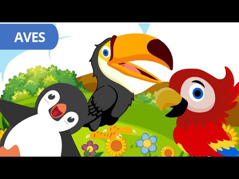 Aves para crianças - Animais vertebrados - Aprendendo com Cocoy Kids