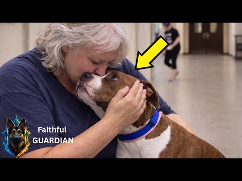 On His Last Day, This AGGRESSIVE Shelter Pitbull Did Something NO ONE Expected.