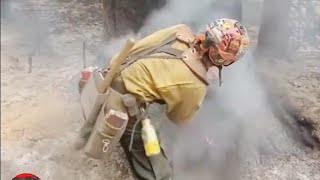 logging With Hand Cutters,  you must watch