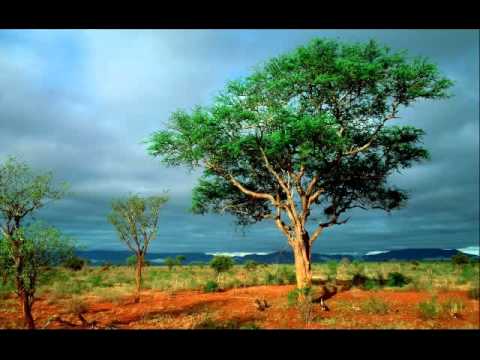 RMB Tribute (We Miss You...) Part 2