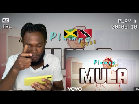 Plumpy Boss - Mula (Visualizer) Reaction Video