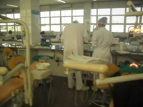 Trabalho Introdução Odontologia PUC 2