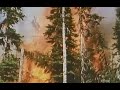 Walt Disney S A Fire Called Jeremiah Season 8 Ep 10