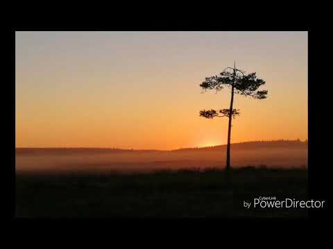 Turvehommia kesä 2018