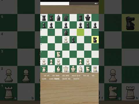 Surprising 9 Move Checkmate #castled #smothered_mate #maybenot
