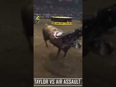 Air Assault Bucks Another