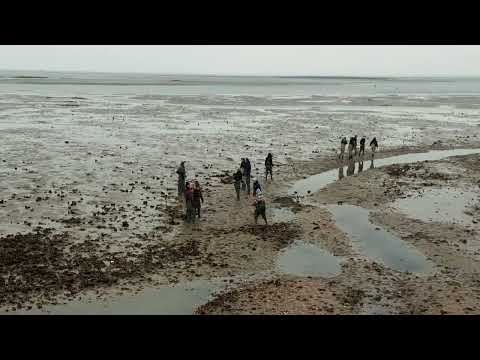 oesterij experience - yerseke