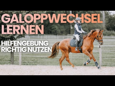 Simple & flying canter changes | Riding well explained | Britta Schöffmann