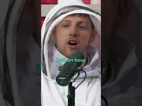 Harry Calls Vik's Fiancé a B****