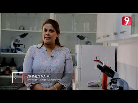 L'IMSET, des formations de qualités et parfaitement adaptées