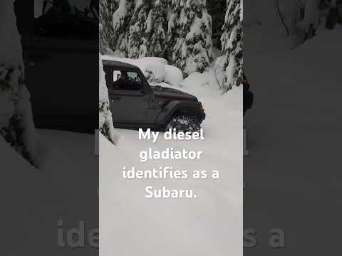 December 24, 2025 #snowwheeling #tongaridge #dieselgladiator