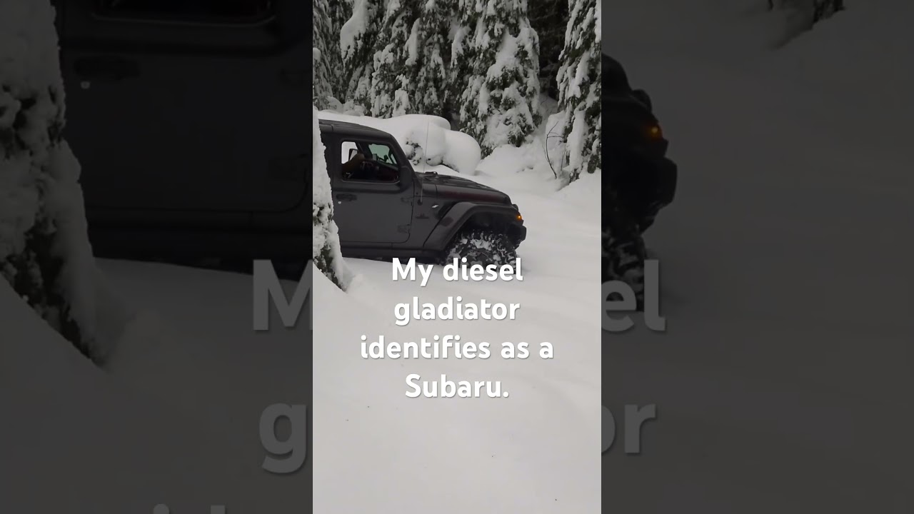 December 24, 2025 #snowwheeling #tongaridge #dieselgladiator