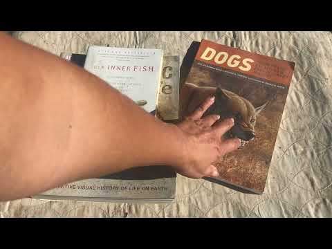 Best Geo & Rockhound Books You’ve Never Heard Of!