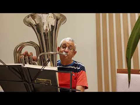 Hino 399- Sou a Videira.