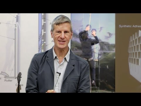 RI Seminar: Mark Cutkosky : Bio-Inspired Dynamic Surface Grasping