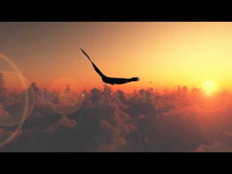 Liquid Cinema - Majestic