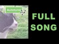 Wha Wha Wha Cat Full Song