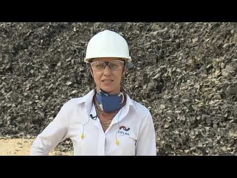 🌱 Meio Ambiente por Inteiro - O impacto do cimento no Meio Ambiente